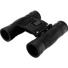 Бинокль Levenhuk Atom 10x25